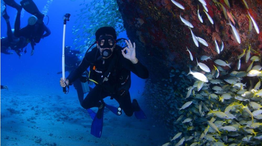 Tourism Deputy Ministry aims to strengthen diving tourism, Deputy Minister says
