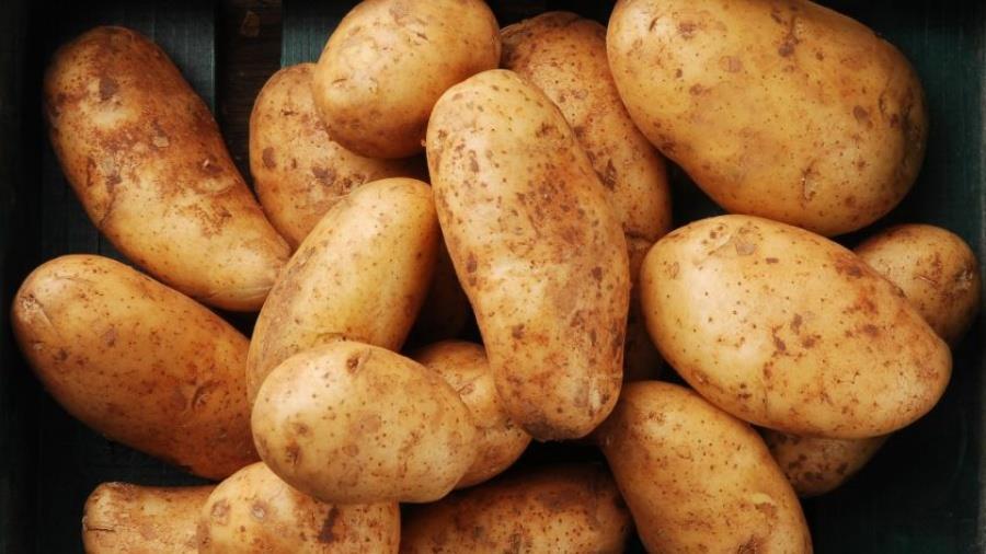 Αποστέλλεται στην Ολομέλεια το νομοσχέδιο για το Συμβούλιο Εμπορίας Πατατών