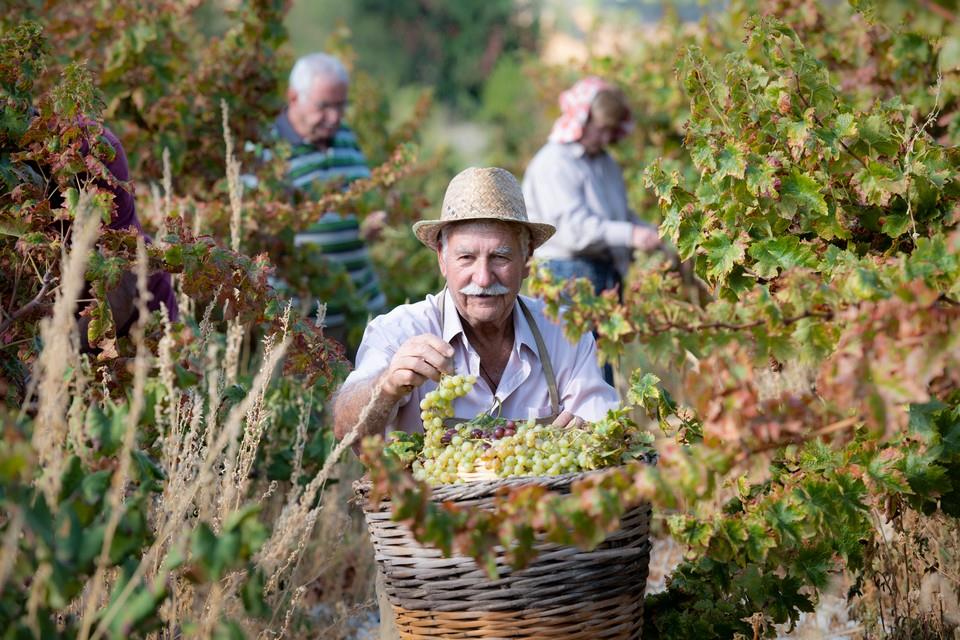 Η Kουμανδαρία στον Κατάλογο Άυλης Πολιτιστικής Κληρονομιάς UNESCO
