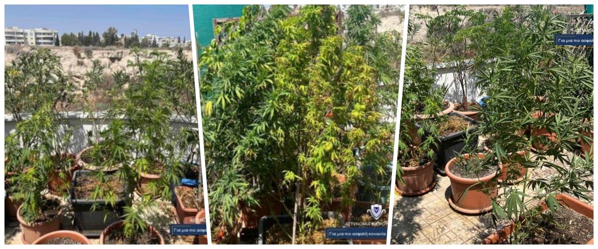 Στο κελί για δέκα χρόνια ο 23χρονος που συνελήφθη για το σπίτι-φυτώριο ναρκωτικών στη Λεμεσό (pics)