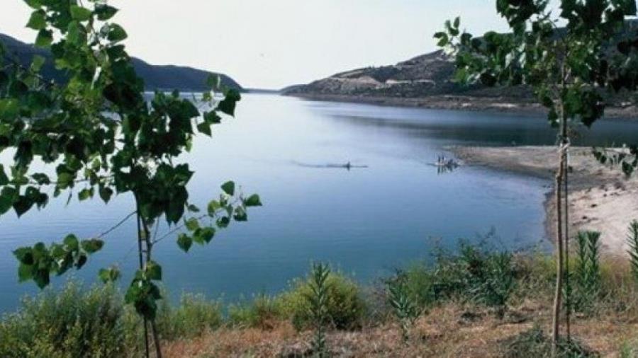 de2803775e47a1b64860e7bb3d5704d6_XL