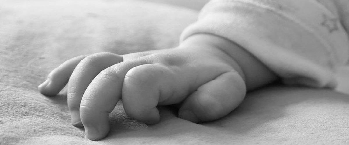 c86709ea-8c66-400e-9913-1607885ec640_brefos