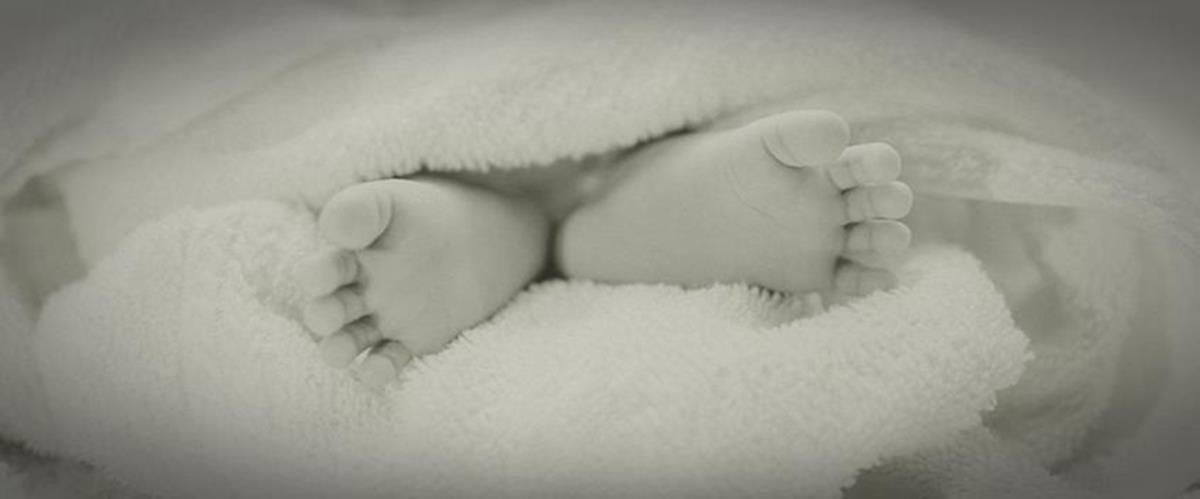 97d3788f-6137-4d1c-8784-43d7bc932db7.width-750