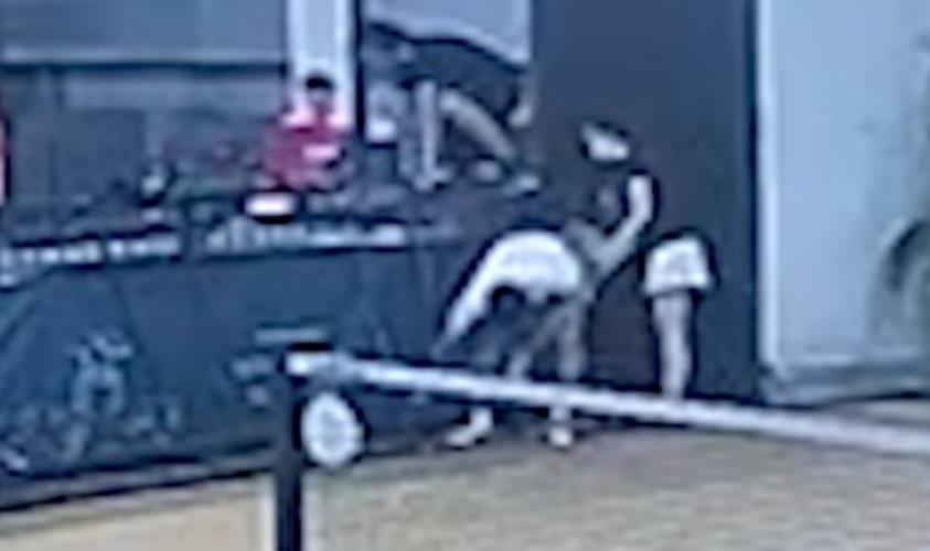 5347545306690073 image