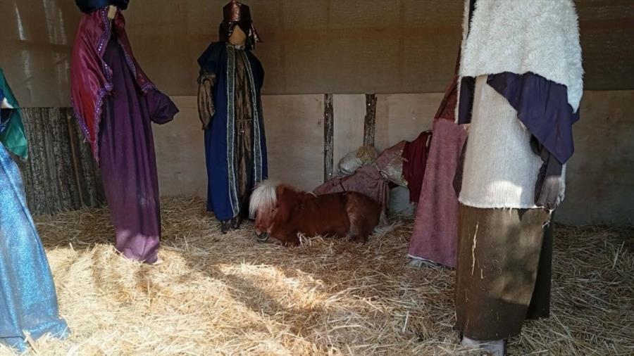 5347916262805807 arthrou-fatni