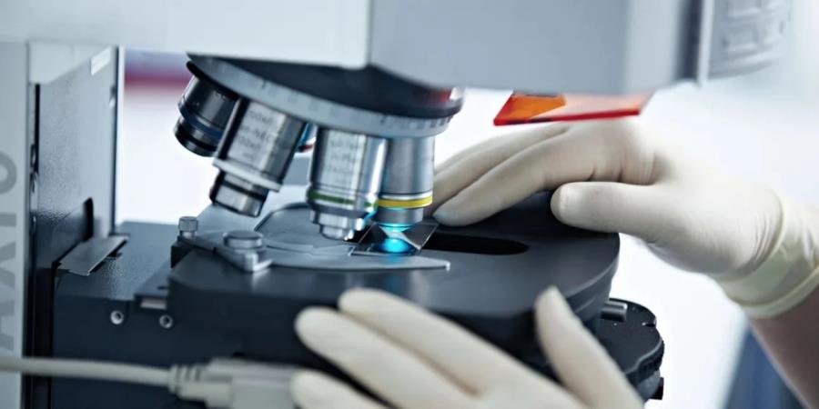 5347989804365818 mikroskopio-xeria-gantia-english