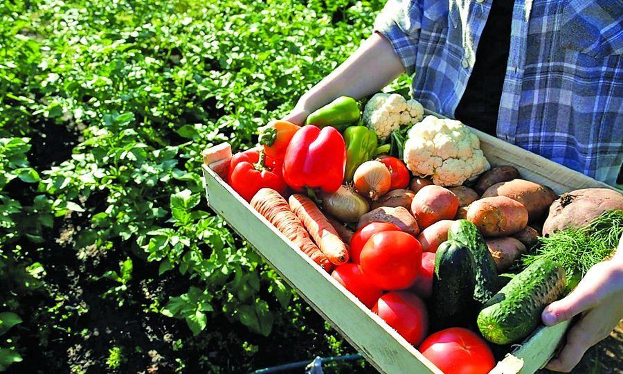 Σε ισχύ νέα νομοθεσία για τον ποιοτικό έλεγχο των γεωργικών προϊόντων