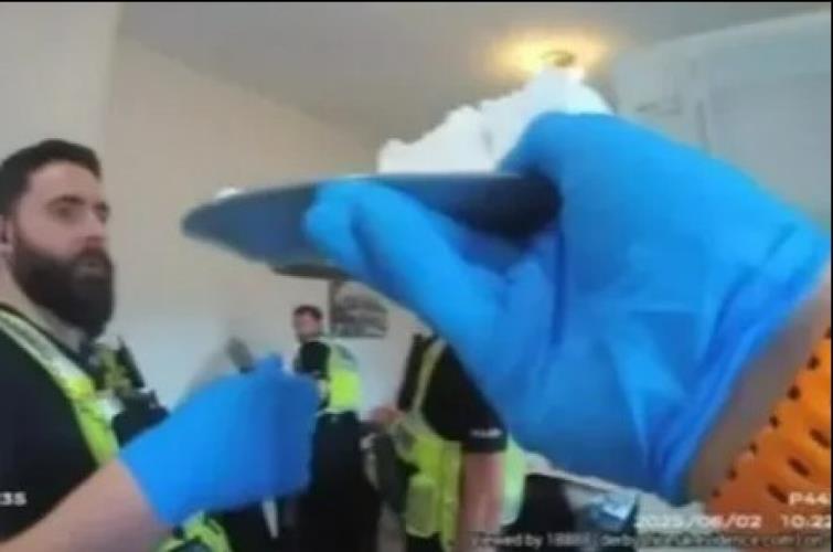 5348671650222723 image