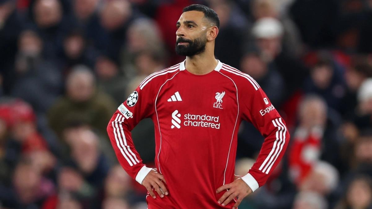 5348748528439440 image