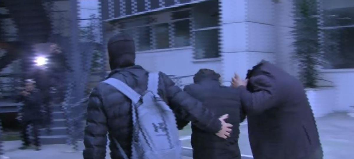 5349303934945111 cats