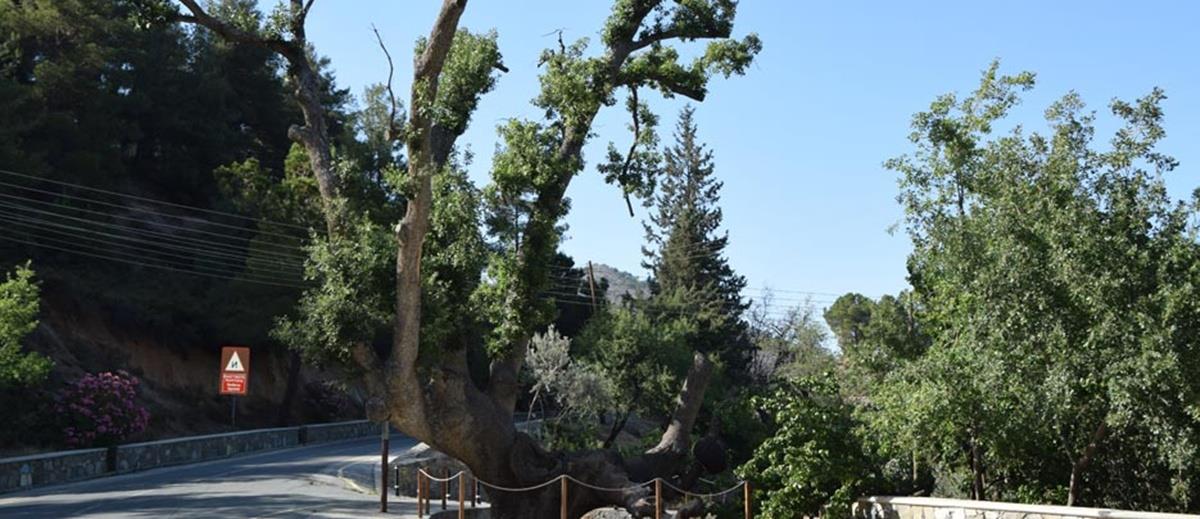 Προσεγγίστηκαν και είναι καλά στην υγείας τους οι δύο 18χρονοι που εγκλωβίστηκαν σε χαράδρα