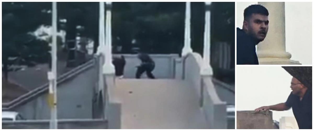 5350138568367141 collage