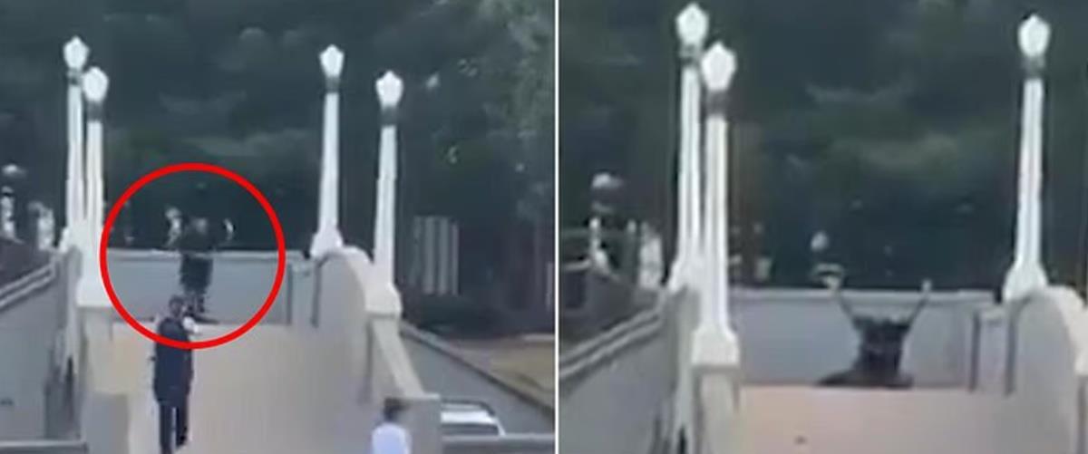 Ο άγνωστος ήρωας του Σίδνεϊ-Αφόπλισε δράστη, δέχτηκε πυρά από αστυνομικούς και ξυλοκοπήθηκε επειδή τον πέρασαν για τρομοκράτη