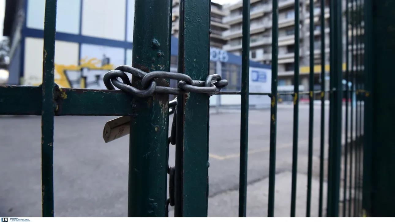 5350472509049765 image