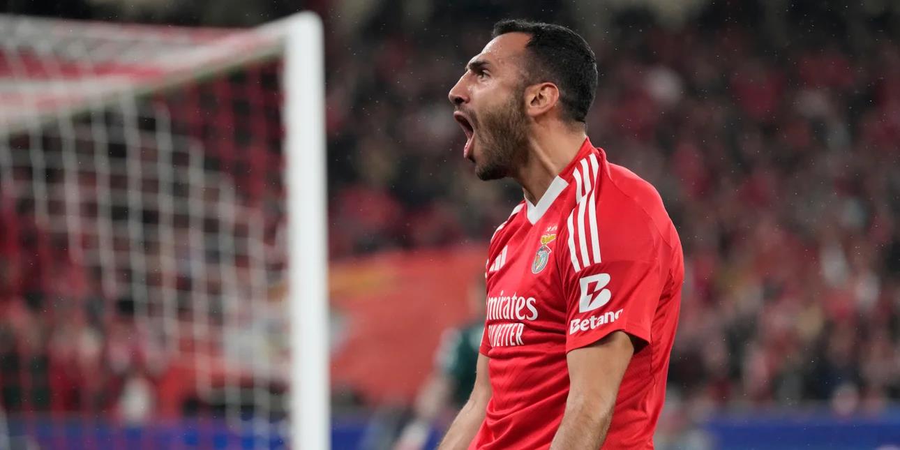 5350594986700657 image