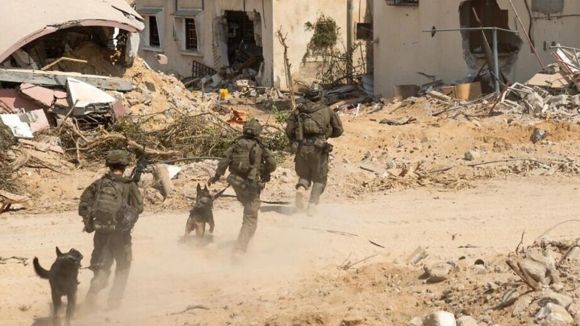 5350654236923620 image