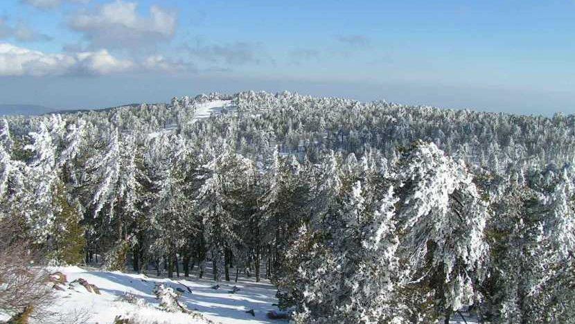 Συνεχίζεται η χιονόπτωση στο Τρόοδος, αναμένονται μεμονωμένες βροχές κυρίως στα ορεινά
