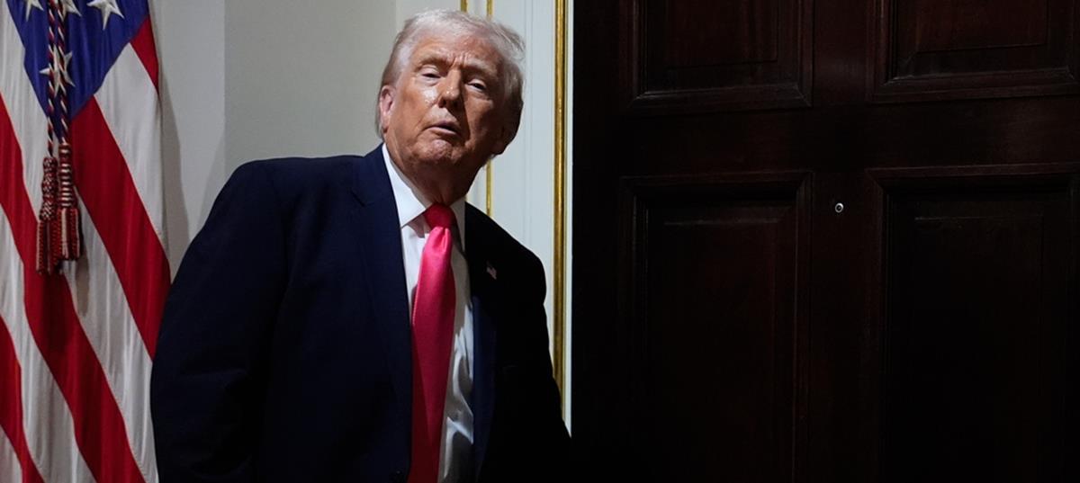 5351913971894314 cats