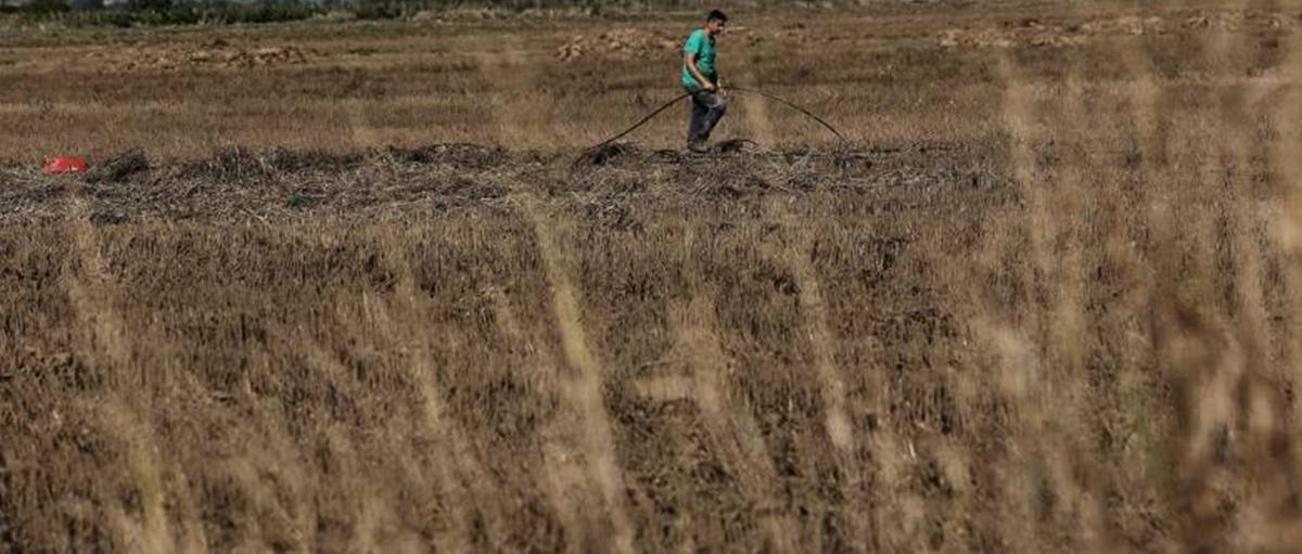 Αποζημιώσεις 10,2 εκατομμυρίων σε αγρότες λόγω ξηρασίας-Εγκρίθηκαν πάνω από 2.500 αιτήσεις