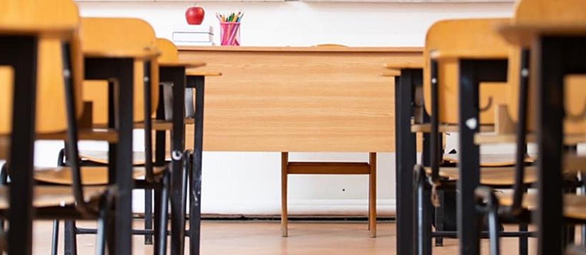 5352110362510772 cats