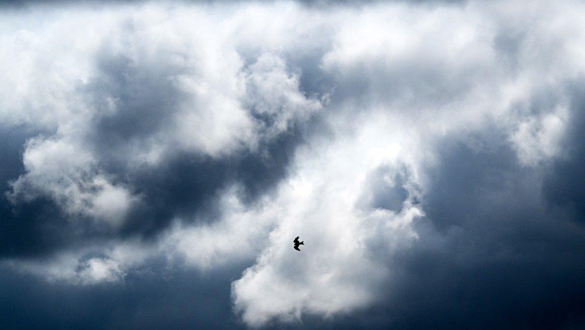 Αναμένεται πρώτη της θερμοκρασία μέχρι τη Δευτέρα-Η πρόγνωση της Μετεωρολογικής