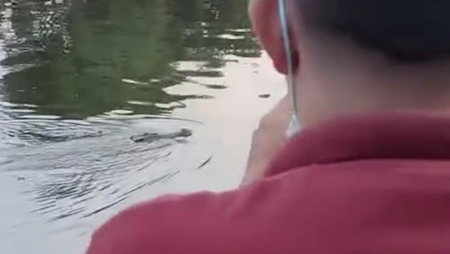 5353681791743098 image