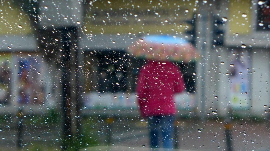 5354481990959574 image