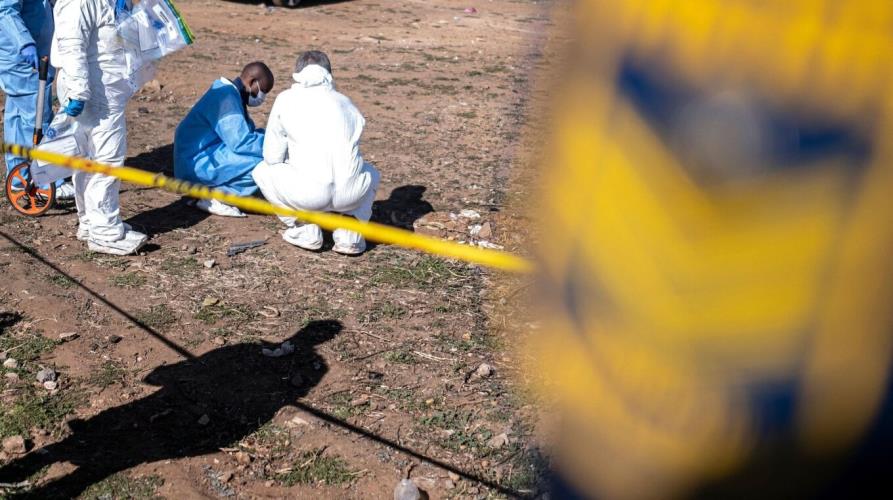 5355362026800429 image