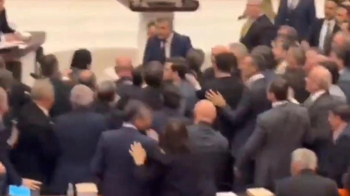 5356362112690402 image