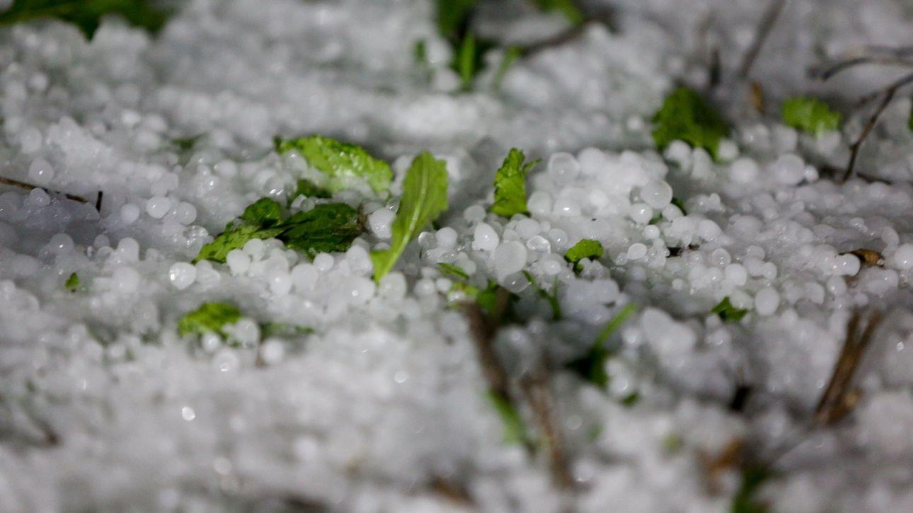 Καταβλήθηκαν πάνω από 17,3 εκατ. ευρώ σε πέραν των έξι χιλιάδων δικαιούχων για τις ζημιές από κλιματικά φαινόμενα