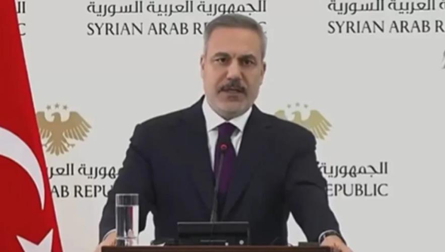 5358097162082944 image