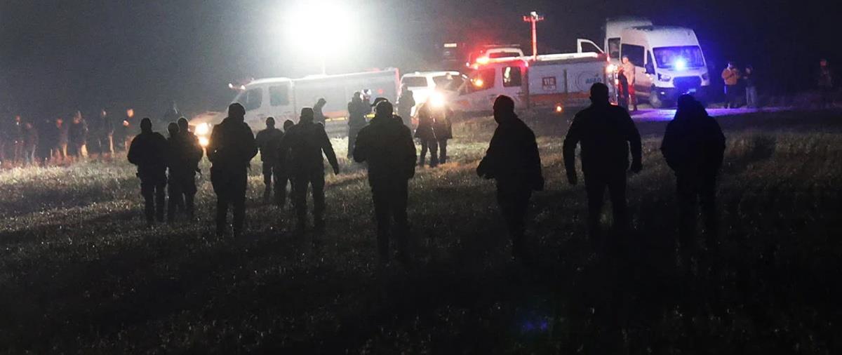 5358326976401855 cats