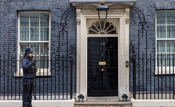 5358419138192951 image