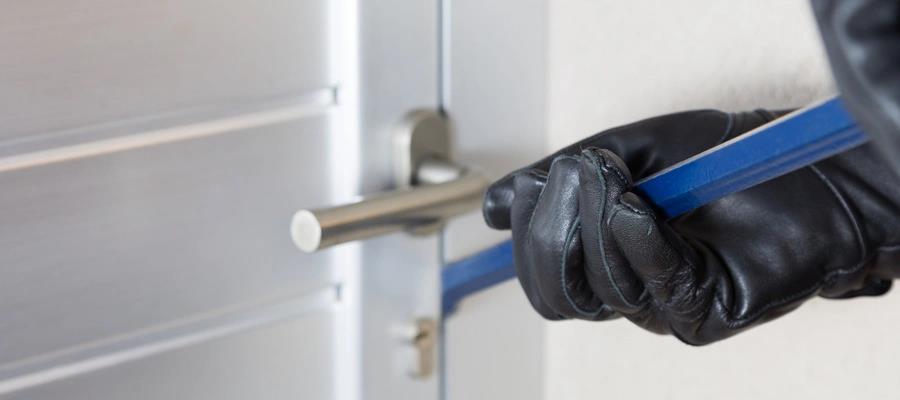 5358872830394772 image