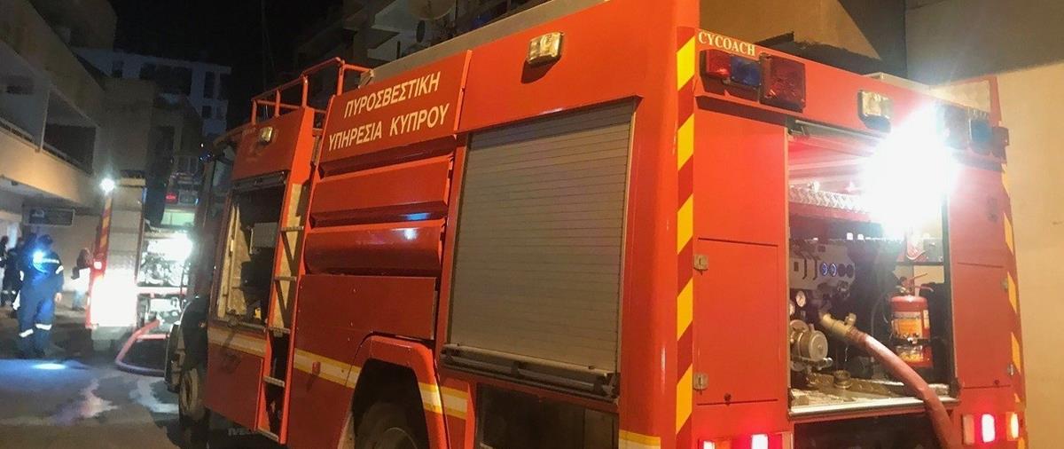 5359081932715717 cats