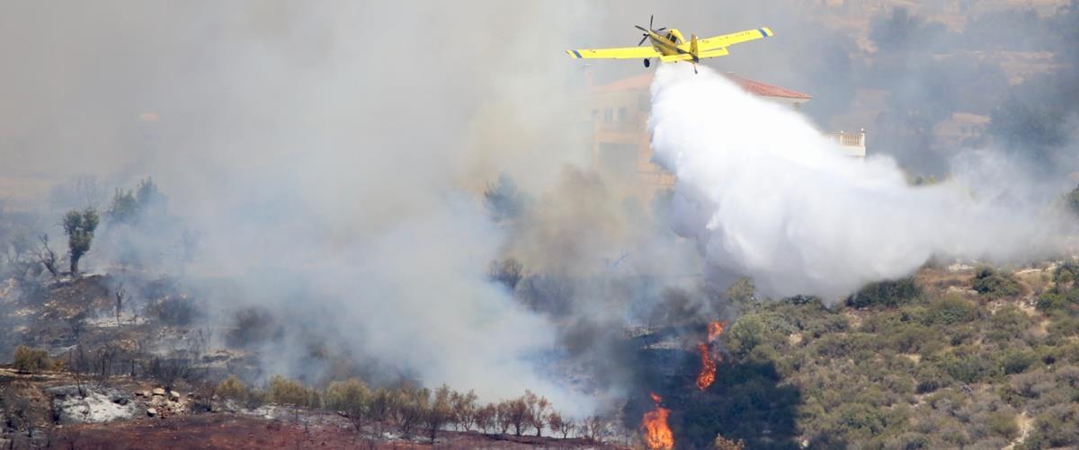 5359777768682238 cats