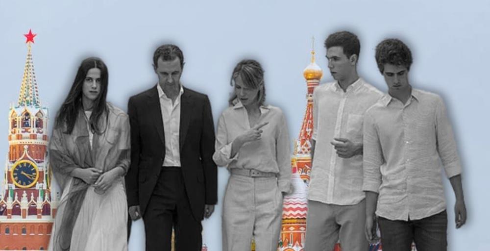 5359854080298391 cats