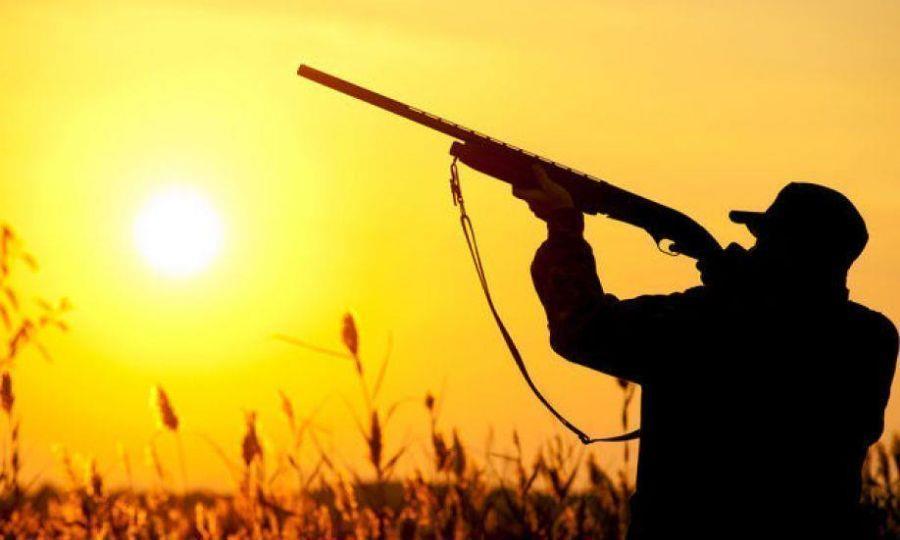 5360059796323696 image