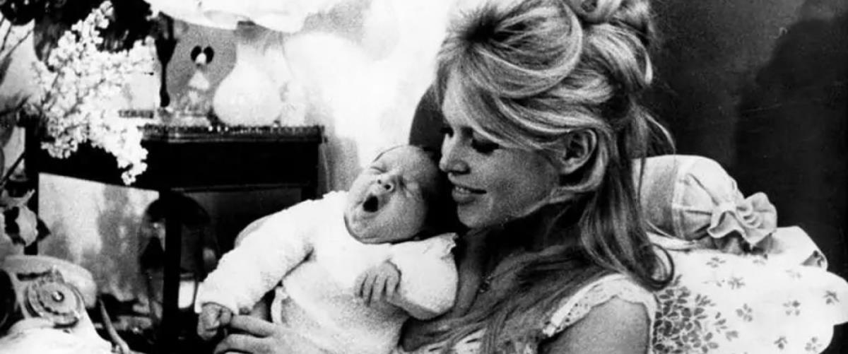 5361832883955961 xrwma-bardot