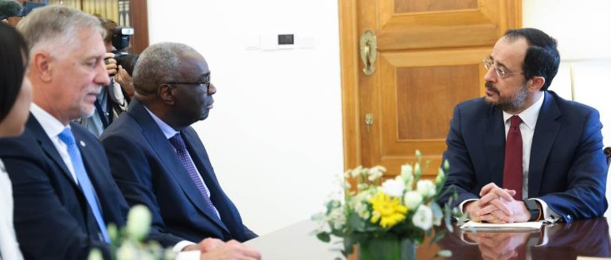 5362243833790035 cats