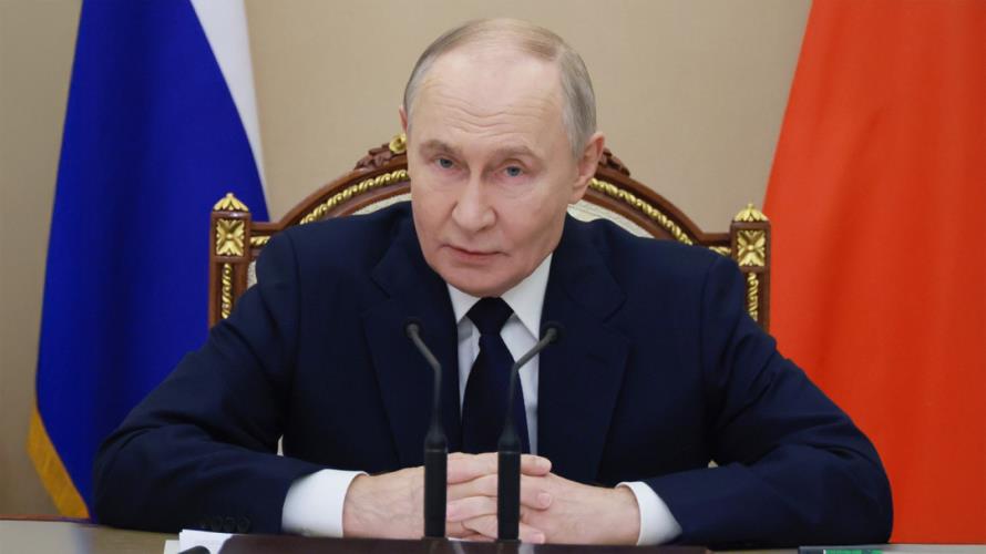 5362614692555528 image