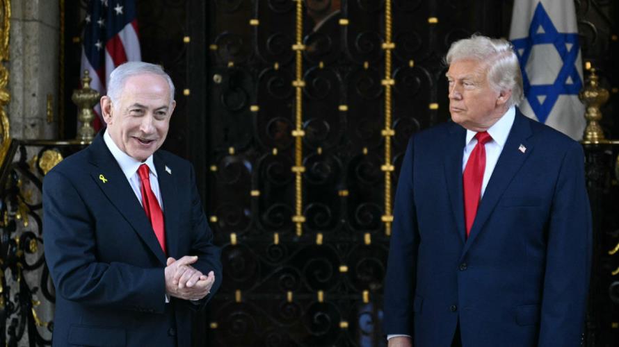 5362803650117257 image