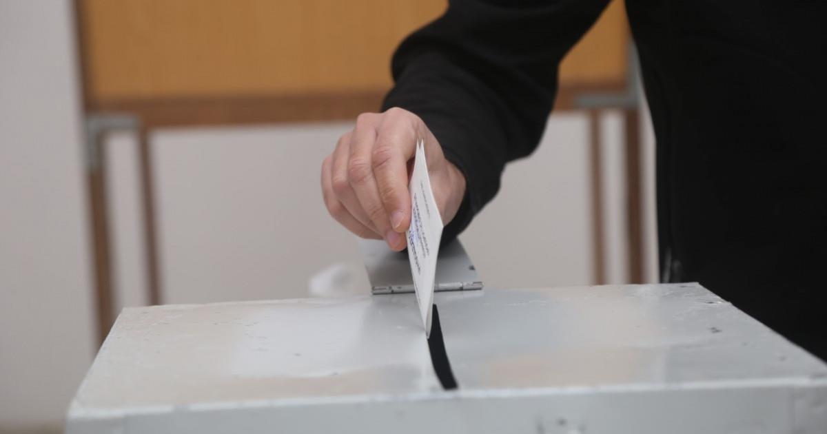 5363169612865594 image