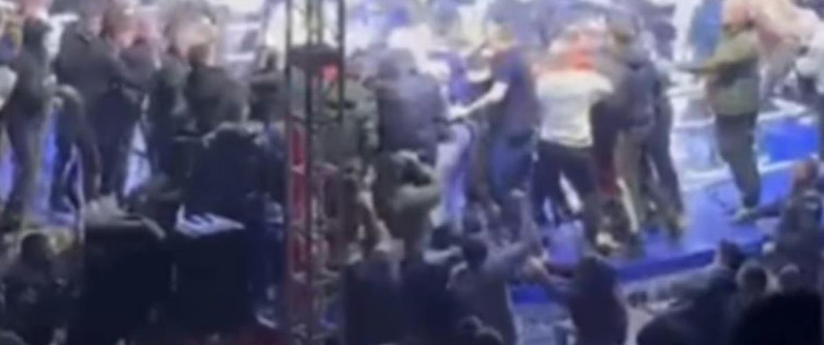 5363439570053791 cats