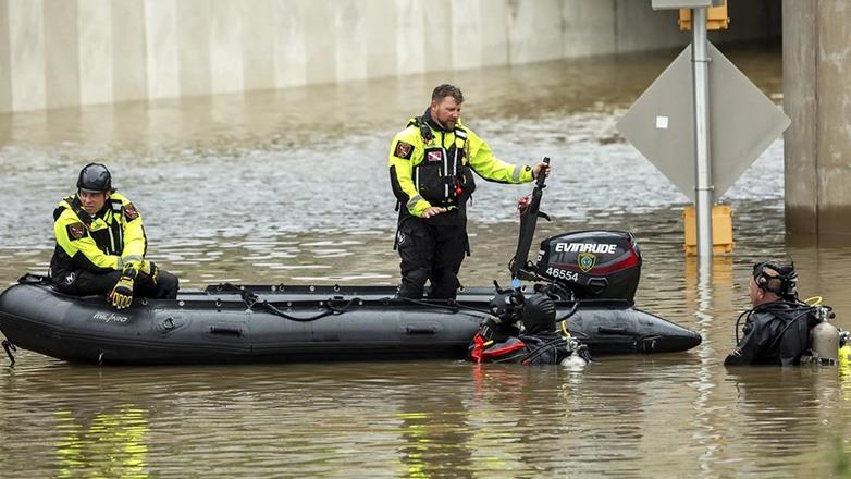 5363580604835568 image