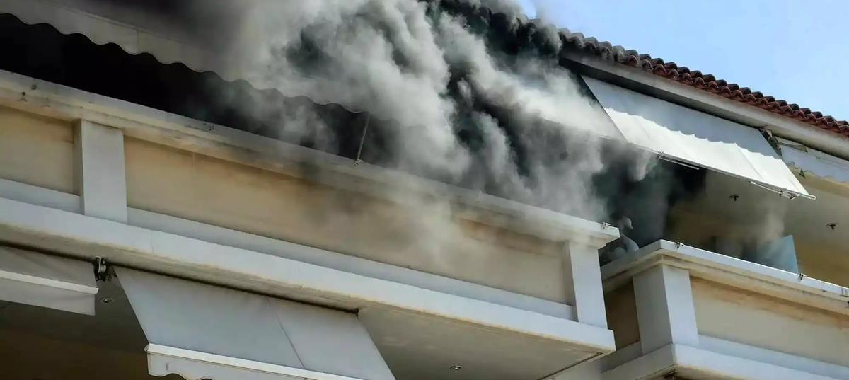 5363595923916611 cats