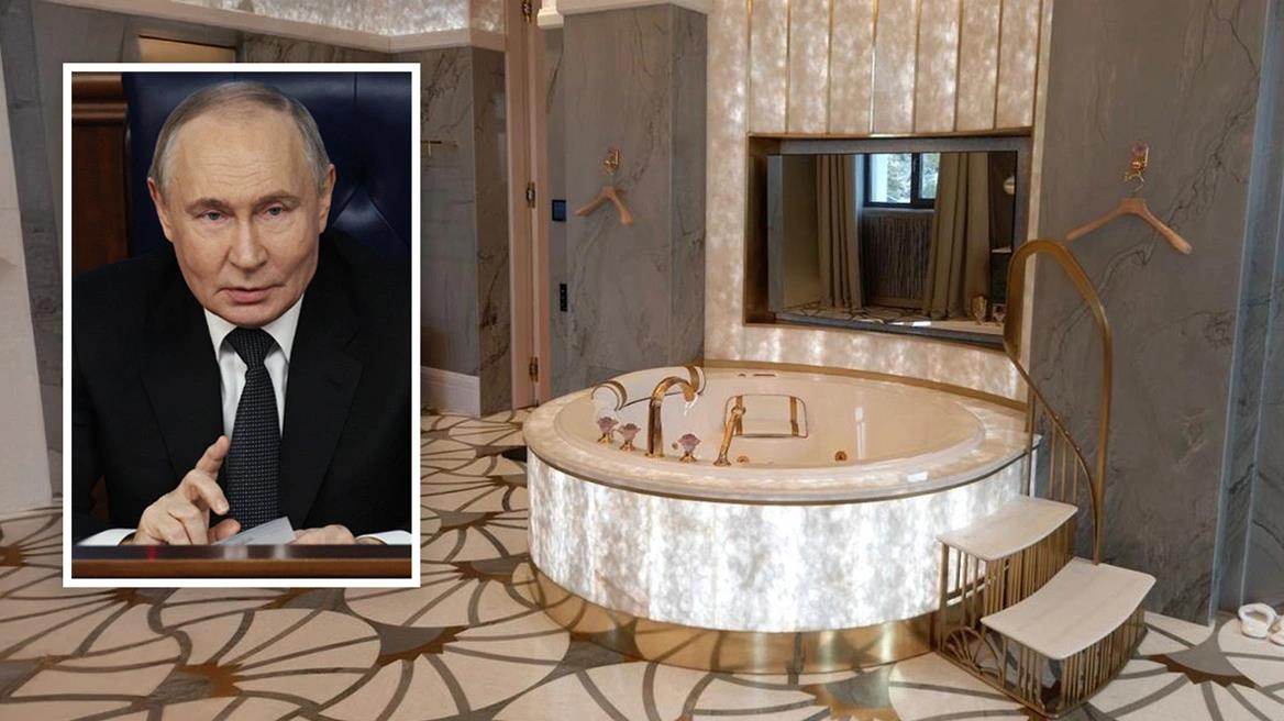 5363636233197639 image