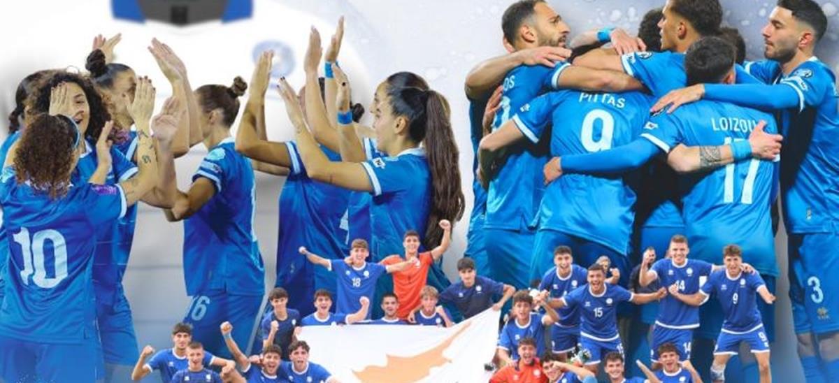 5364124289117450 cats