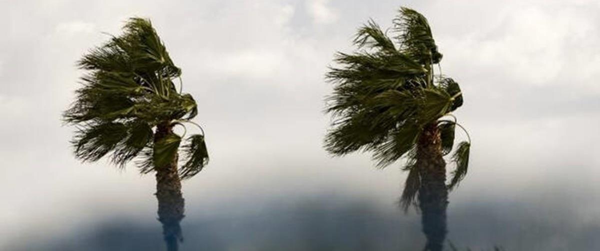 5364303351728682 kairos-anemoi