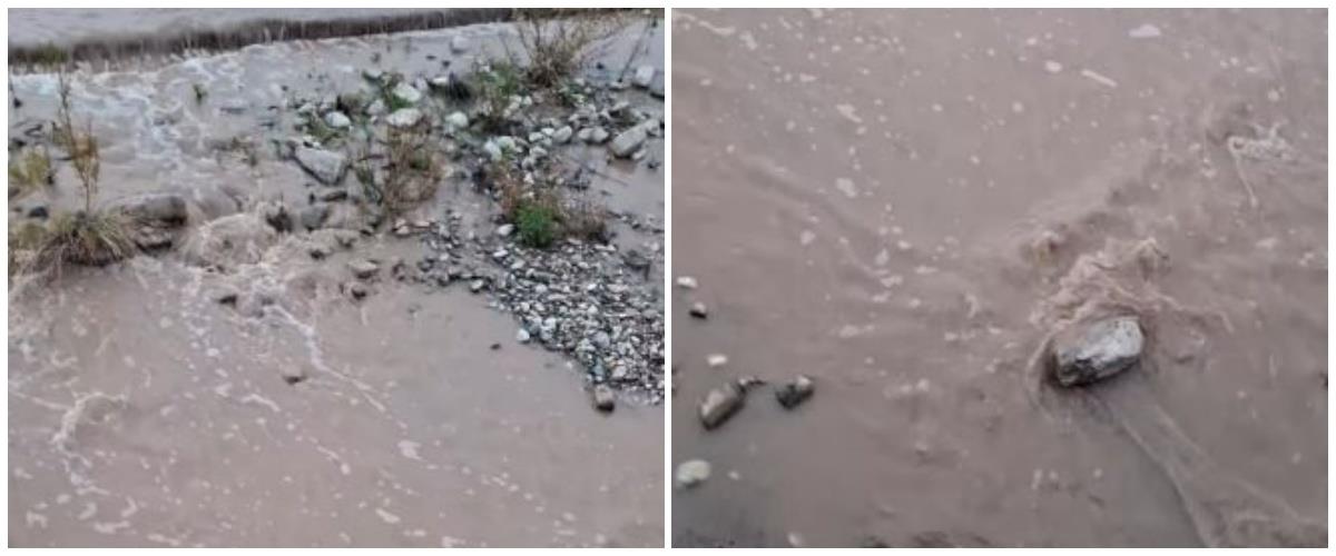 5365065077836502 collage